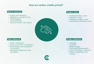 Picture of Carbon credits: What they are and their role in climate action?